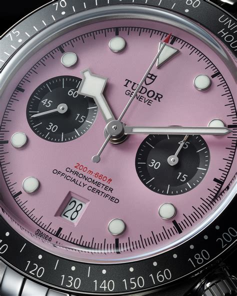 black bay tudor pink|tudor pink for sale.